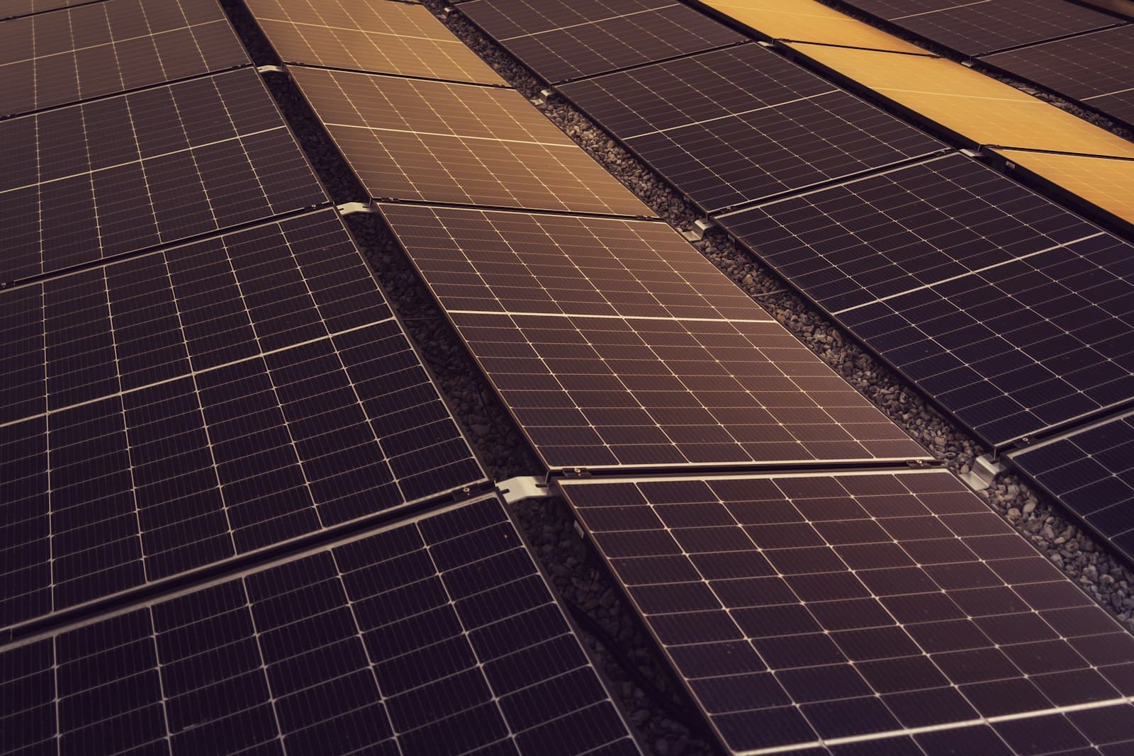 Rows of solar panels installed across a suburban rooftop