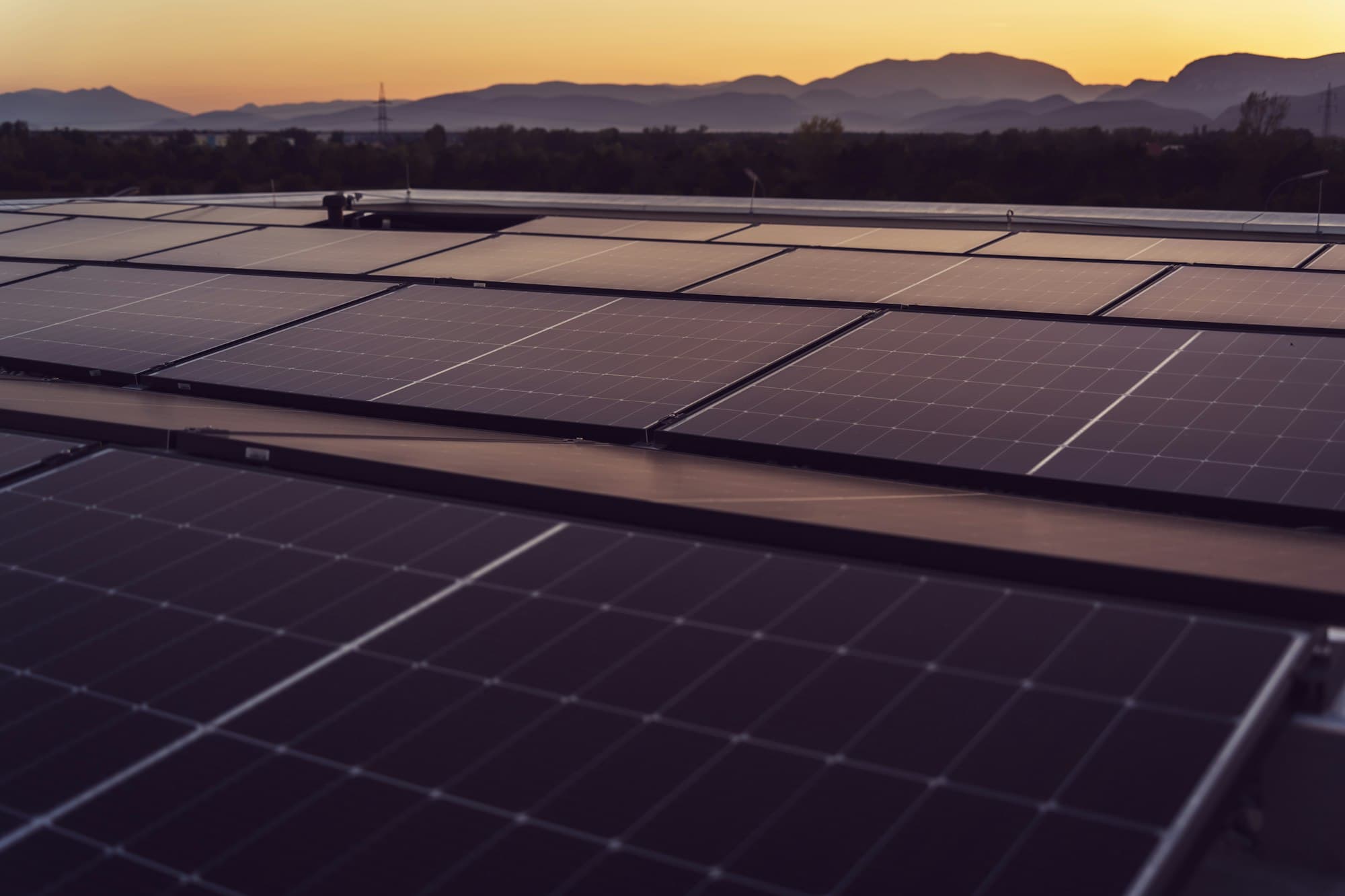 Ground-mounted solar array in an open field